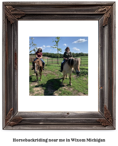 horseback riding near me in Wixom, Michigan